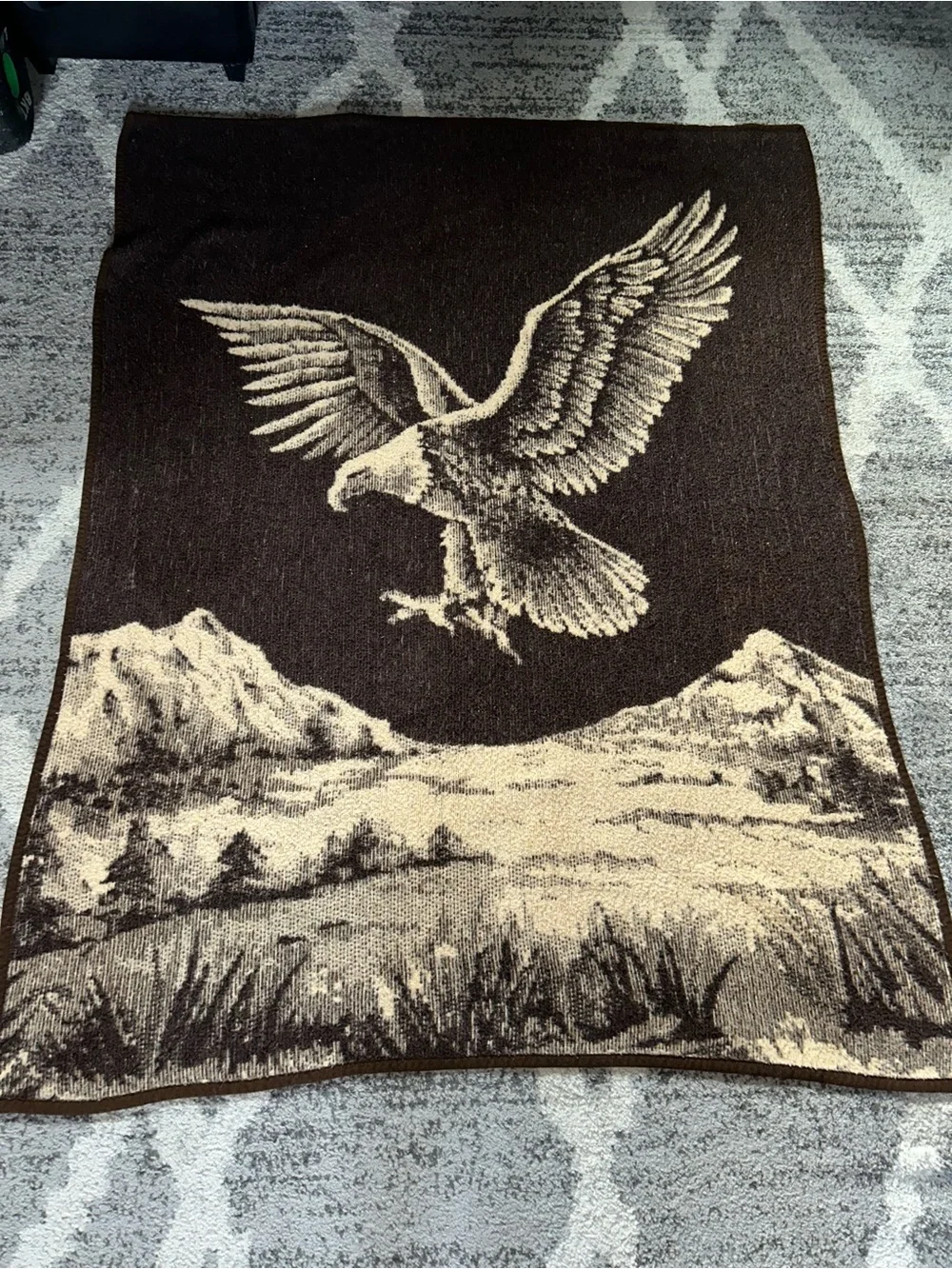 Vintage reversible bald eagle mountain blanket 1980s